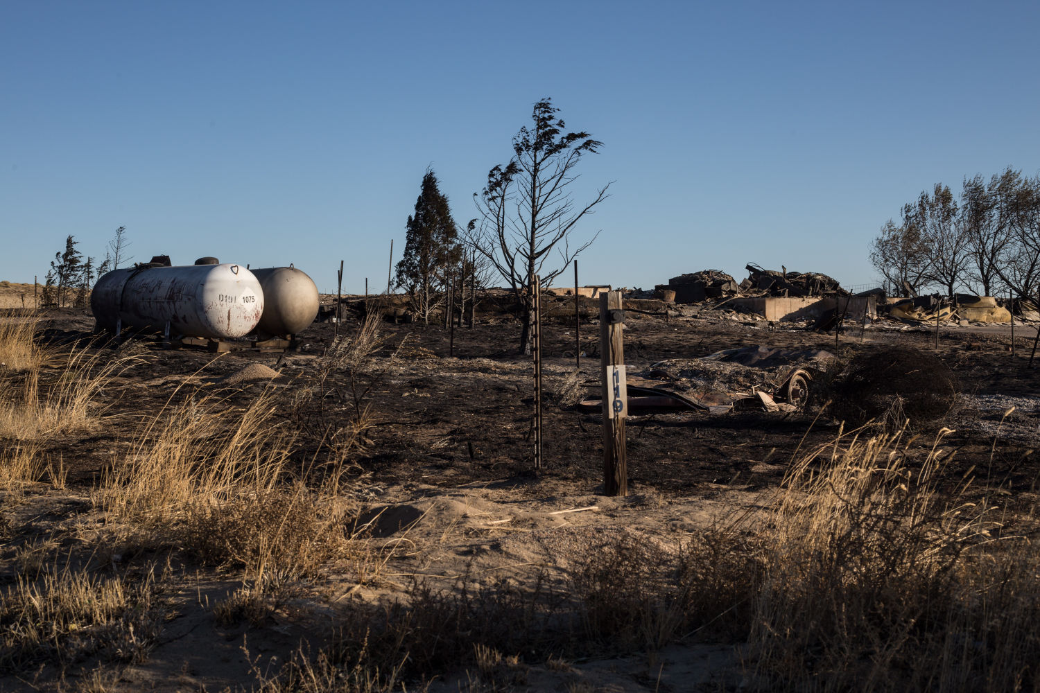 Cole Creek Fire